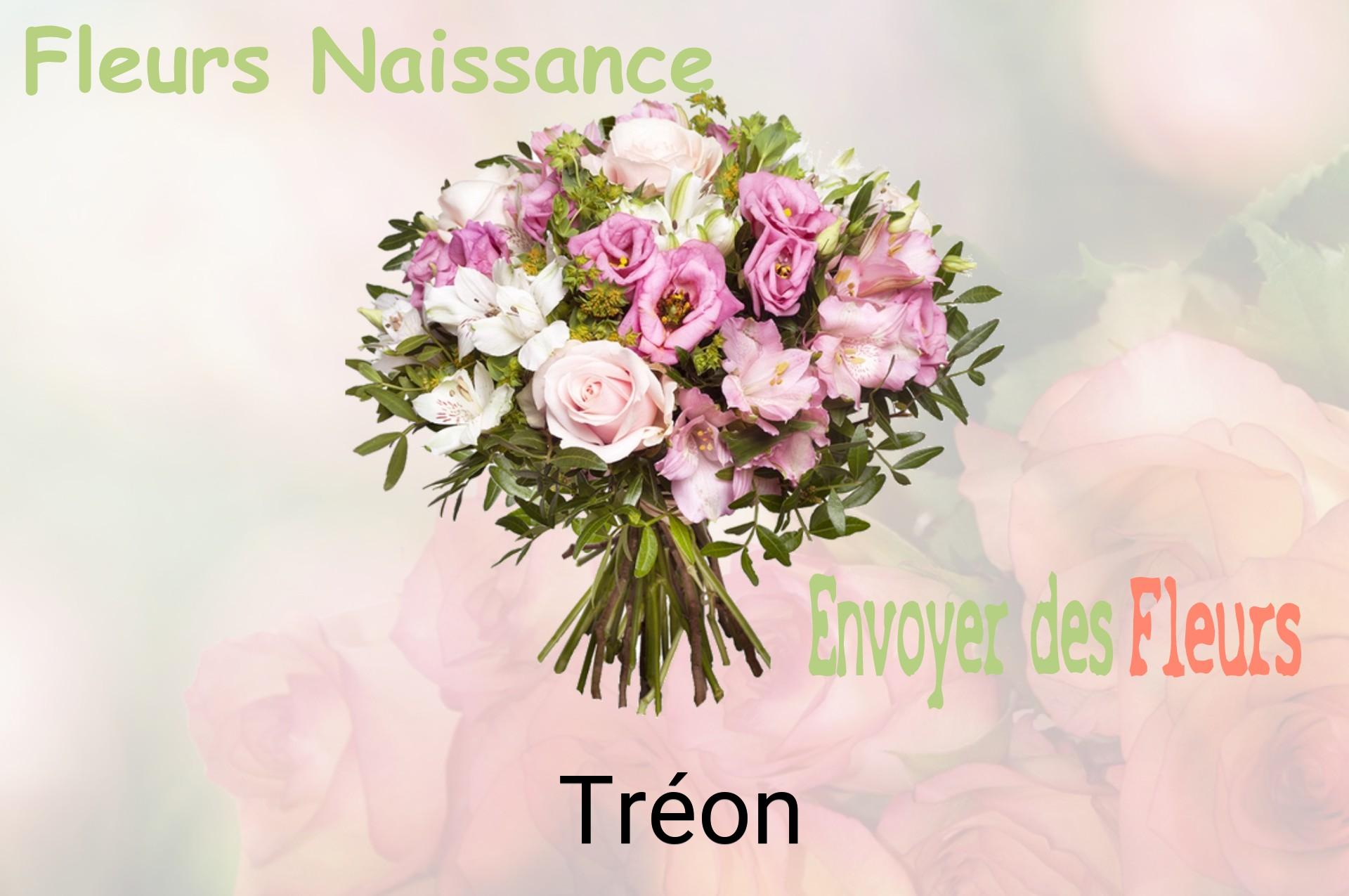 Bouquet de fleurs de naissance livré à Tréon