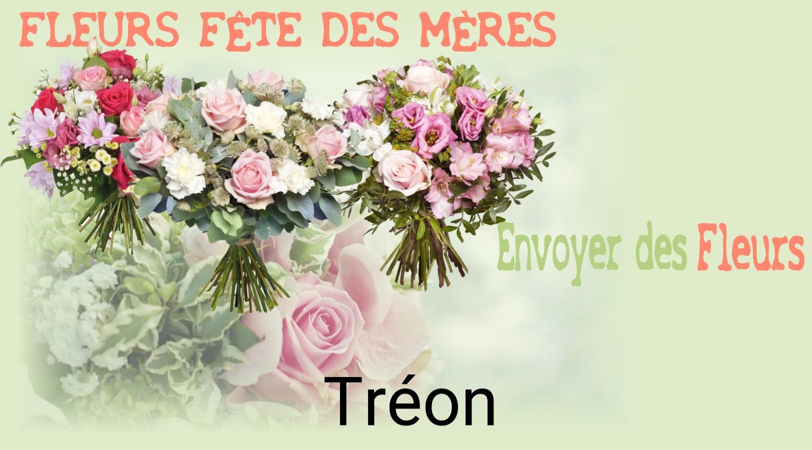 Bouquet de Fête des Mères livré à Tréon
